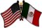 Box of 3 Mexico & US Crossed Flag Lapel Pins, Country & American Double Friendship Tie & Hat Pin Badges